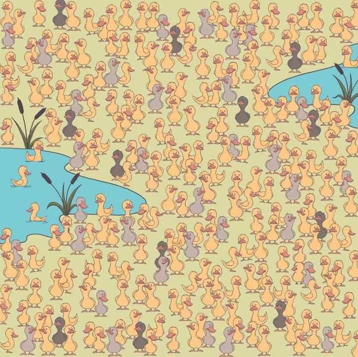 Het mysterie en het belangrijkste