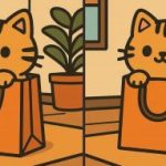 IQ-test: vind 3 verschillen in een foto van een schattige kat in 45 seconden IQ-test: vind 3 verschillen in een foto van een schattige